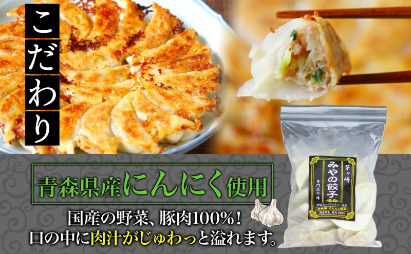 みやの餃子 スタミナ餃子 24個×3セット ラー油付き 餃子 ギョーザ ギョウザ 冷凍 お店の味 専門店 餃子専門店 国産 手づくり にんにく ラー油 一人暮らし 備蓄 ストック お取り寄せ 送料無料 神奈川県 茅ヶ崎市