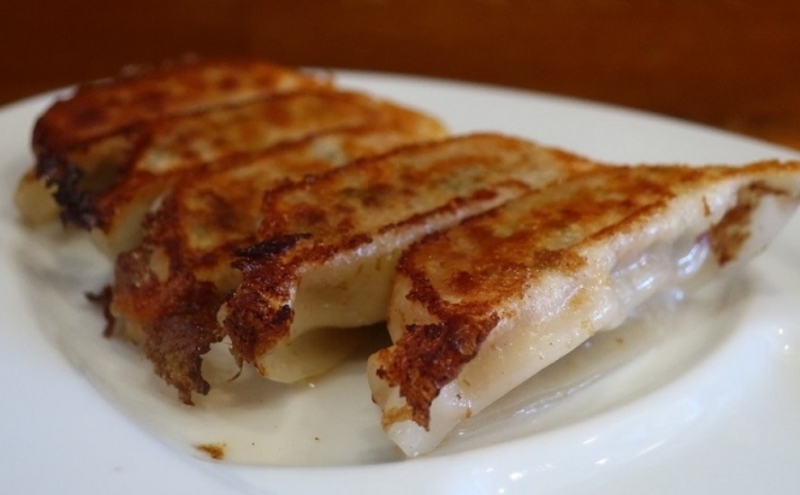 みやの餃子 特製餃子 28個×3セット ラー油付き 餃子 ギョーザ ギョウザ 冷凍 お店の味 専門店 餃子専門店 国産 手づくり にんにく無し ラー油 一人暮らし 備蓄 ストック お取り寄せ 送料無料 神奈川県 茅ヶ崎市