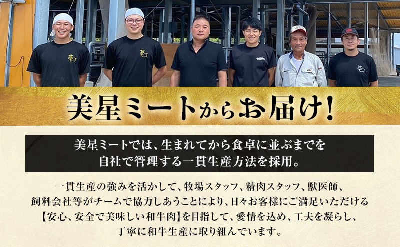 【定期便 3回 隔月で届く】美星和牛 サーロインステーキ 各回約400g（約200g×2枚） 牛肉 岡山県 里庄町 送料無料