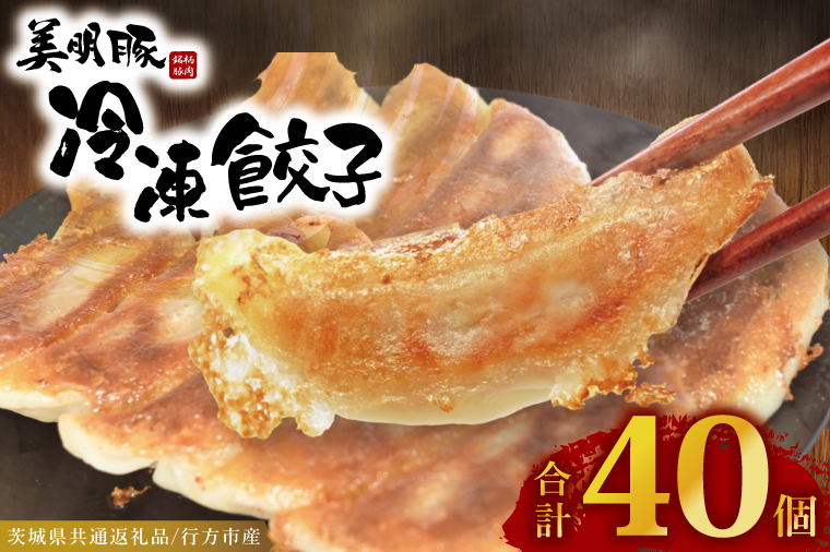 y錧zⓀLq 40i20×2܁j uh u  vi錧ʕԗiEssYj  Lq MEU Y ؓ  y  tCp