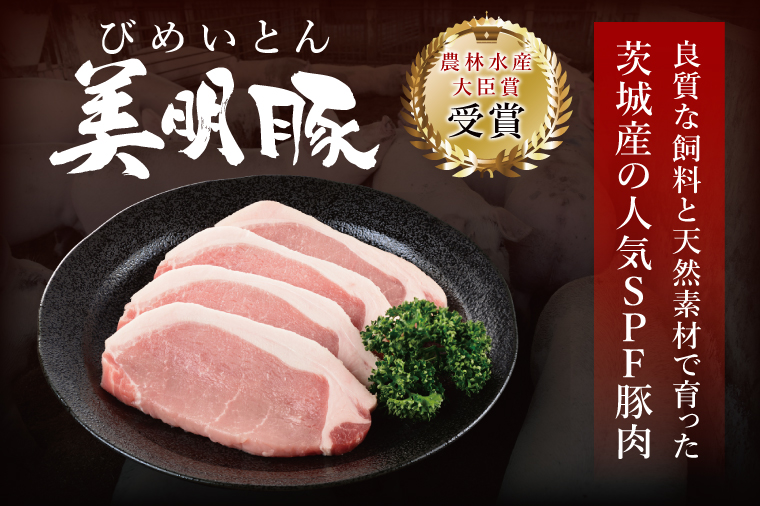 冷凍餃子 40個（20個×2袋） ブランド豚 「 美明豚 」（茨城県共通返礼品・行方市産） 小分け 餃子 ギョウザ 国産 豚肉 野菜 惣菜 おかず フライパン