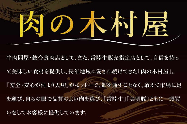 冷凍餃子 40個（20個×2袋） ブランド豚 「 美明豚 」（茨城県共通返礼品・行方市産） 小分け 餃子 ギョウザ 国産 豚肉 野菜 惣菜 おかず フライパン