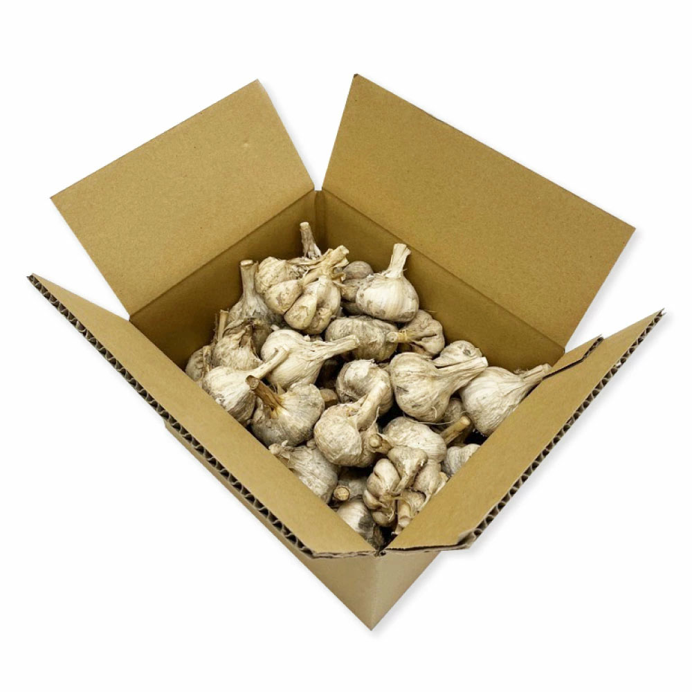 訳あり にんにく 約1.5kg 乾燥 ニンニク にんにく 訳アリ わけアリ 不揃い 型崩れ 自然乾燥 大量 大容量 常温 配送 数量限定 高知県産