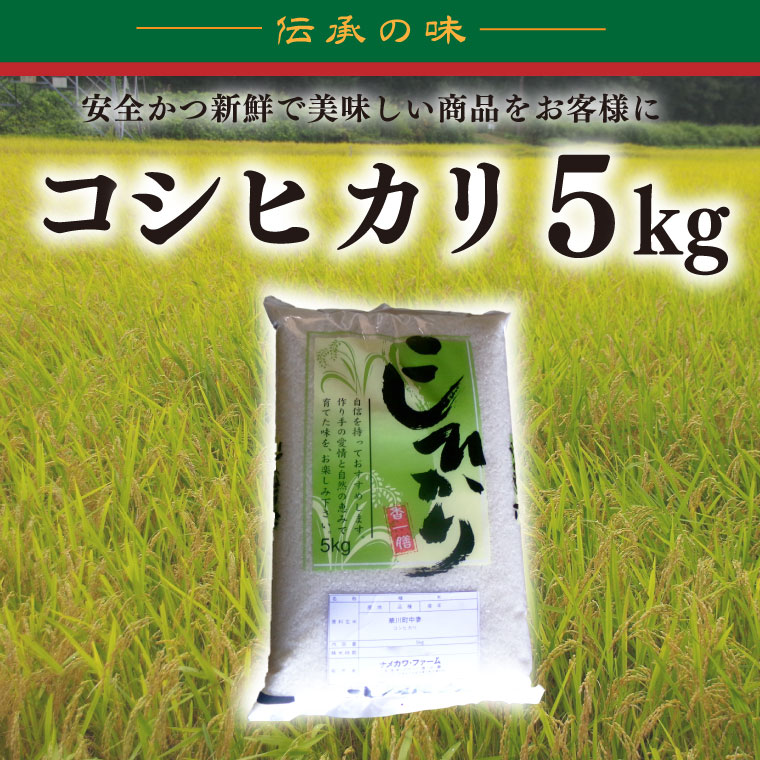 【令和7年産新米】コシヒカリ　5kg【新米 安心 美味しい お米 おにぎり 茨城県 北茨城市】(BD102)