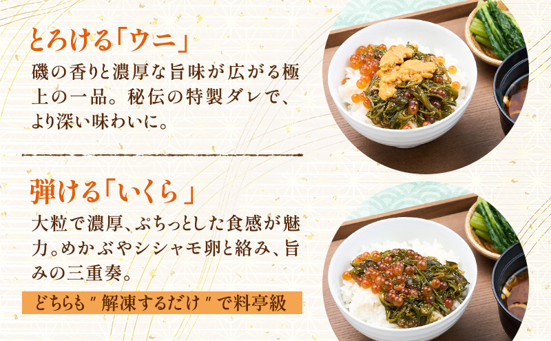 たっぷり漬け ウニ イクラ 150g 2箱×2 セット 三陸 海の宝石箱 海鮮丼の具 めかぶ 贈答 岩手県 宮古市
