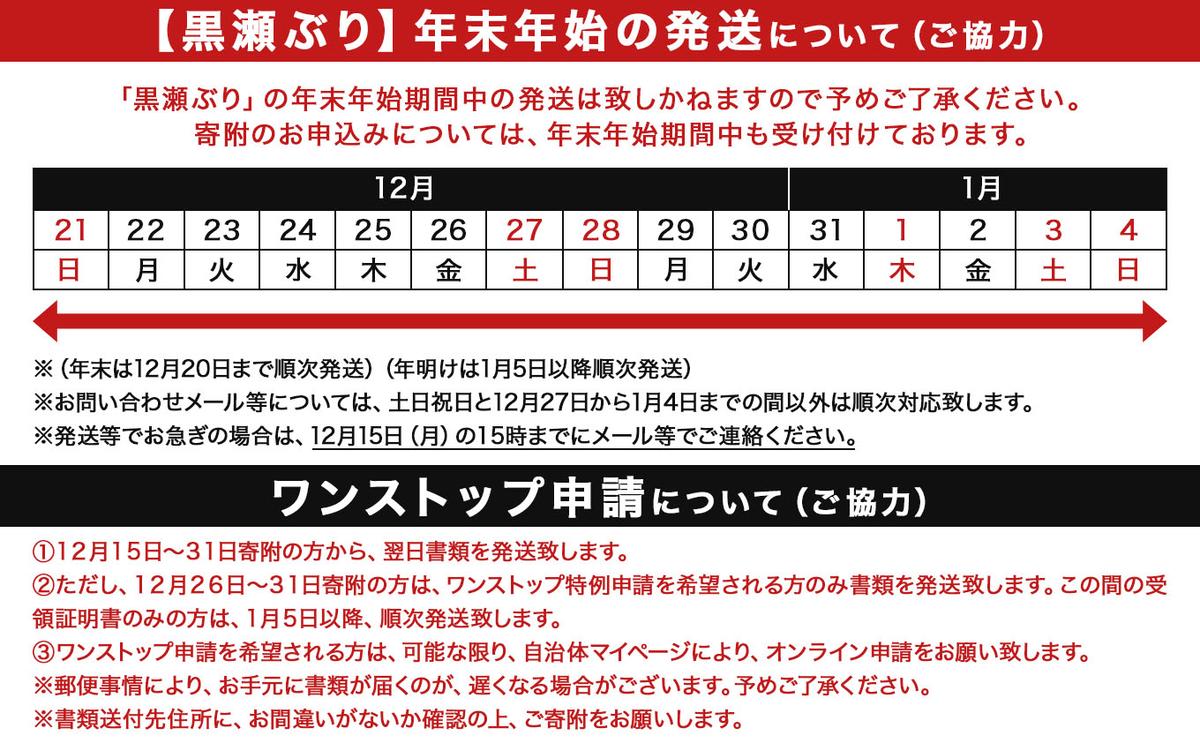 宮崎県串間市のふるさと納税 KU281＜2026年1月発送分＞活じめ！黒瀬ぶりの生鮮ブリロイン2節（1.0kg前後）