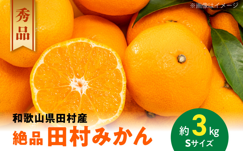 AB7430_Y_【直営限定】《2025年11月～発送》【和歌山特産品