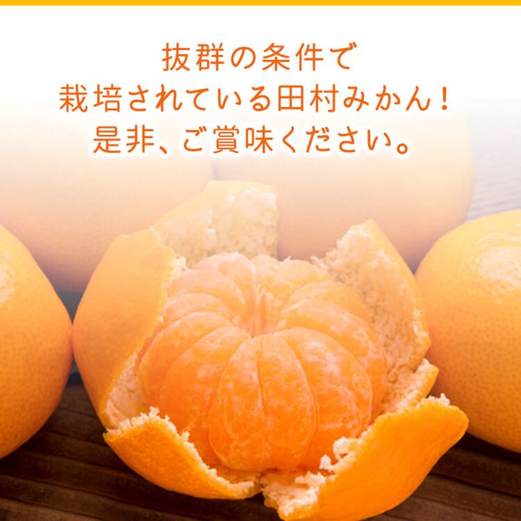 AB7430_Y_【直営限定】《2025年11月～発送》【和歌山特産品