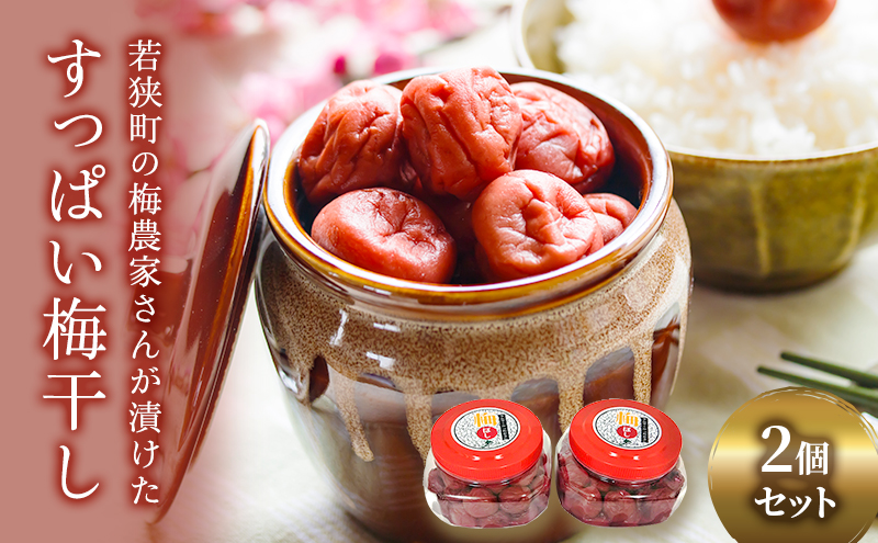 梅干し 合計800g 甘くない梅干し 2つ セット 紅さし梅 紅映梅 梅 うめ ウメ 福井県 福井 