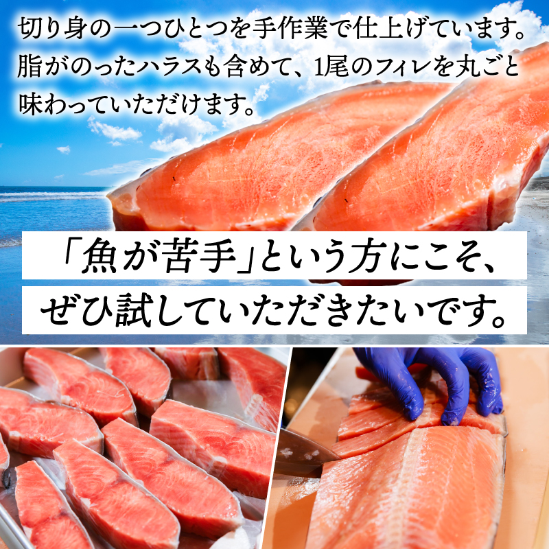【カマ無し】★超 厚切り★ 訳あり 「銀鮭 切り身 1kg」 粕漬け 高級部位 ハラス入り 銀鮭 鮭 切身 さけ しゃけ サーモン ハラス 魚 魚介類 冷凍 厚切 肉 厚 塩鮭 人気 ふるさと 送料無料 規格外（KY-17-b）