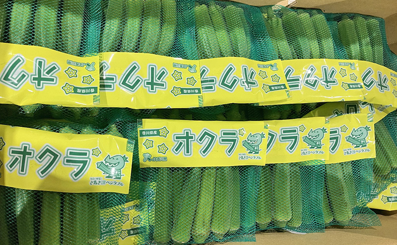 オクラ 約3kgバラ 野菜