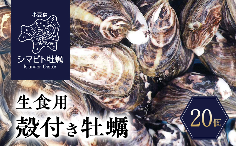 y쌧yzy  zY V}rgy@Hpkty@20@y JL y Hp kt V}rg 쌧