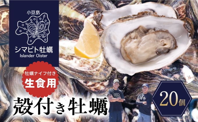【 小豆島 】小豆島産 シマビト牡蠣　生食用殻付き牡蠣　20個　牡蠣 カキ 生牡蠣 生食用 殻付き シマビト 香川県