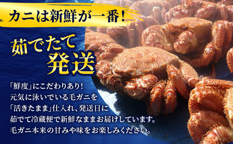 ［冷蔵便］茹でたて直送！北海道産 または ロシア産 朝茹で毛ガニ 約600g×1尾【 かに カニ 蟹 幕別町 北海道 毛蟹 毛ガニ 海鮮 魚介 海の幸 海産物 冷蔵 】