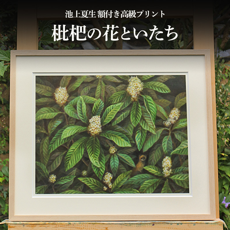 y쌧yzrĐ ztvg hf̉ԂƂh