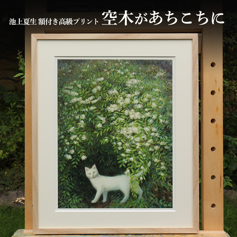 y쌧yzrĐ ztvg h؂Ɂh