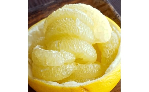 白木家のこだわり土佐文旦 露地 文旦 約8kg 13～20個入り L～3Lサイズ混合 ぶんたん ブンタン 果物 柑橘 フルーツ お取り寄せ 特産品 美味しい 高知県産 ギフト 贈答品 贈り物 常温 配送