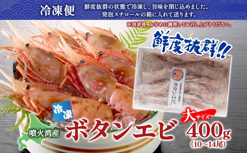 北海道 噴火湾産 冷凍ボタンエビ 大サイズ 400g 10～14尾 ボタンエビ エビ えび 海老 北海道産 旬 ぼたんえび 刺身 牡丹海老 海鮮 魚介 甲殻類 味噌汁 鍋 海鮮丼 冷凍 洞爺湖町 within2025