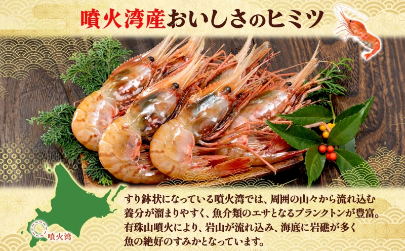 北海道 噴火湾産 冷凍ボタンエビ 大サイズ 計800g 20～28尾 ボタンエビ エビ えび 海老 北海道産 旬 ぼたんえび 刺身 牡丹海老 海鮮 魚介 甲殻類 味噌汁 鍋 海鮮丼 冷凍 洞爺湖町 within2025