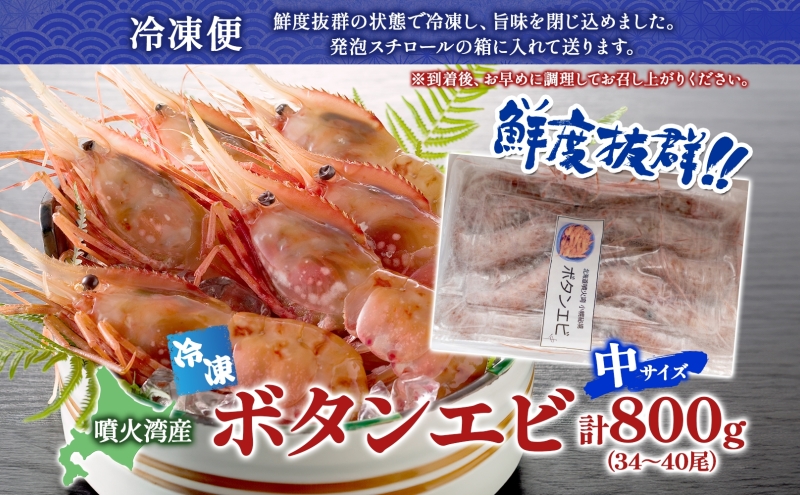 北海道 噴火湾産 冷凍ボタンエビ 中サイズ 計800g 34～40尾 ボタンエビ エビ えび 海老 北海道産 旬 ぼたんえび 刺身 牡丹海老 海鮮 魚介 甲殻類 味噌汁 鍋 海鮮丼 冷凍 洞爺湖町 within2025