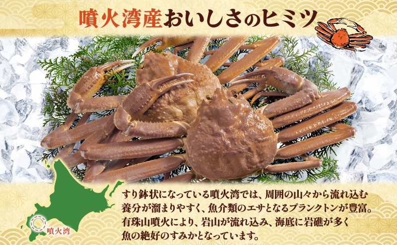 北海道 噴火湾産 活ズワイガニ 約1.5～2kg（3～6尾）2026年3月1日～4月末頃まで発送 北海道産 旬 新鮮 ずわいがに ズワイガニ かに カニ 蟹 カニ味噌 天然 噴火湾 産地直送 お取り寄せ 贈答 冷蔵 洞爺湖町