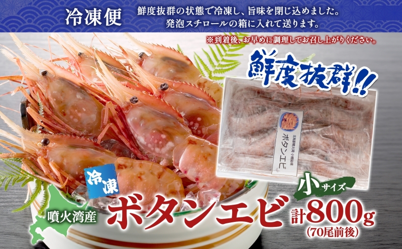北海道 噴火湾産 冷凍ボタンエビ 小サイズ 計800g 70尾前後 ボタンエビ エビ えび 海老 北海道産 旬 ぼたんえび 刺身 牡丹海老 海鮮 魚介 甲殻類 味噌汁 鍋 海鮮丼 冷凍 洞爺湖町 within2025
