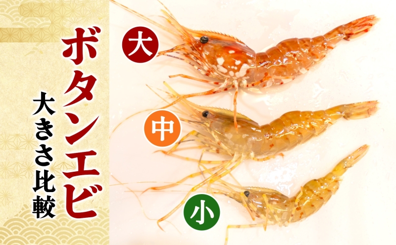 北海道 噴火湾産 冷凍ボタンエビ 小サイズ 計800g 70尾前後 ボタンエビ エビ えび 海老 北海道産 旬 ぼたんえび 刺身 牡丹海老 海鮮 魚介 甲殻類 味噌汁 鍋 海鮮丼 冷凍 洞爺湖町 within2025