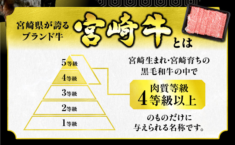 宮崎県日南市のふるさと納税 【7月末までにお届け】【畜産農家応援】数量限定 厳選 宮崎牛 赤身 ステーキ 計500g 粗挽きウインナー 牛肉 国産 鉄板焼き BBQ バーベキュー 人気 黒毛和牛 モモ A4 A5 等級 ギフト 贈答 小分け 食品 選べる ミヤチク 宮崎県 日南市 送料無料_BD122-25-ZO3-07