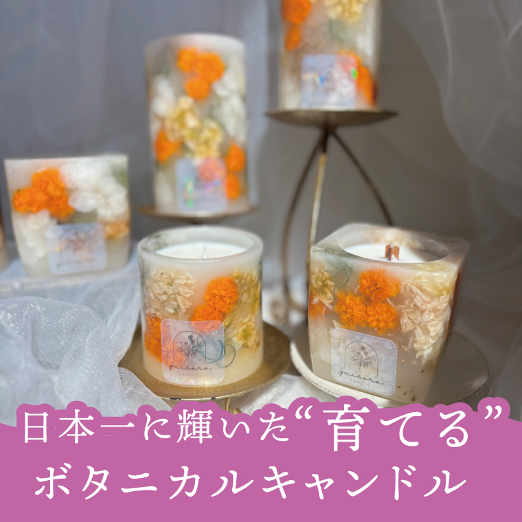 ボタニカルキャンドル 約250g【キャンドル ボタニカルキャンドル ボタニカル インテリア 茨城県 北茨城市】(CX001)