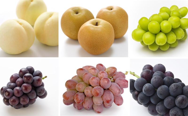 フルーツ 晴れの国 岡山 の フルーツ 定期便 10回コース 岡山県産 桃 もも 葡萄 ぶどう 梨 なし 2026年 先行予約