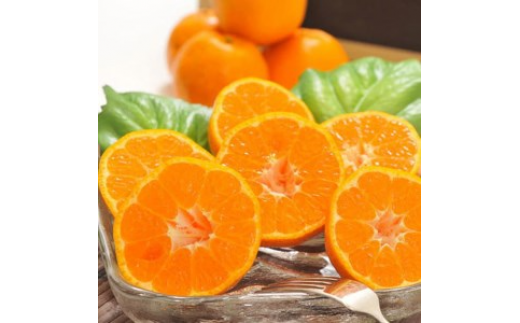 �y�a�̎R�����l���z�y��s�\��z�y�~�̔����z�y�_�ƒ����z�Z���|���J���i���ƒ�p�j��3kg �b �L�c ���k �t���[�c �݂��� �I�����W �Y�n����