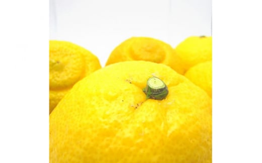 【先行予約】【農家直送】爽やかカンキツ はるかみかん（ご家庭用）約4kg