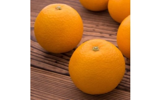 【農家直送】濃厚八朔（ご家庭用）5kg | 有田 柑橘 フルーツ みかん オレンジ 産地直送 はっさく