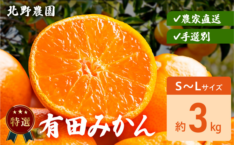 �y�a�̎R���L�c�S���󒬁zDZ6233_���I �L�c�݂��� �a�̎R S�`L�T�C�Y �傫�����C�� ��3kg