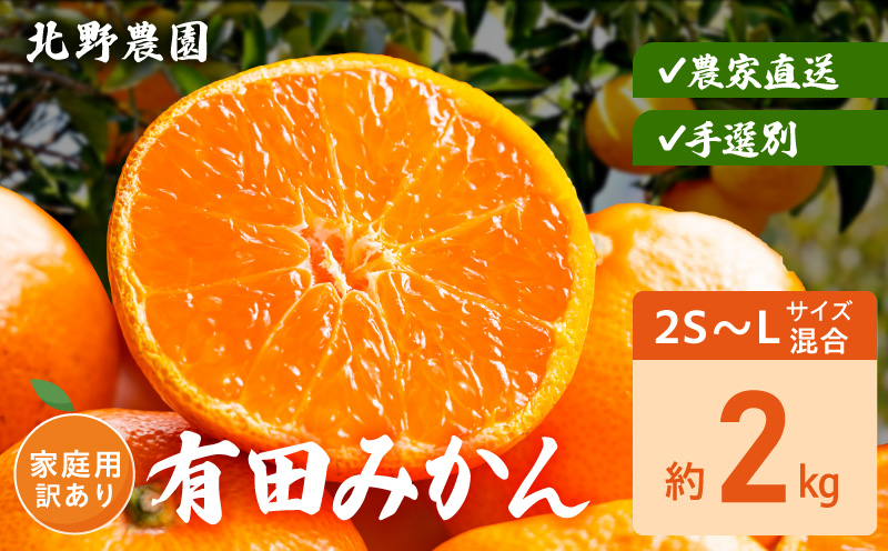 �y�a�̎R���L�c�S���󒬁zDZ6238_�ƒ�p �󂠂� �L�c�݂��� �a�̎R 2S�`L�T�C�Y���� ��2kg