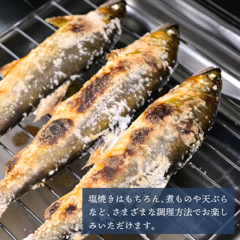 冷凍 美山川の天然鮎 10匹 | 魚 さかな 天然 鮎 川魚 料理 京都 南丹市