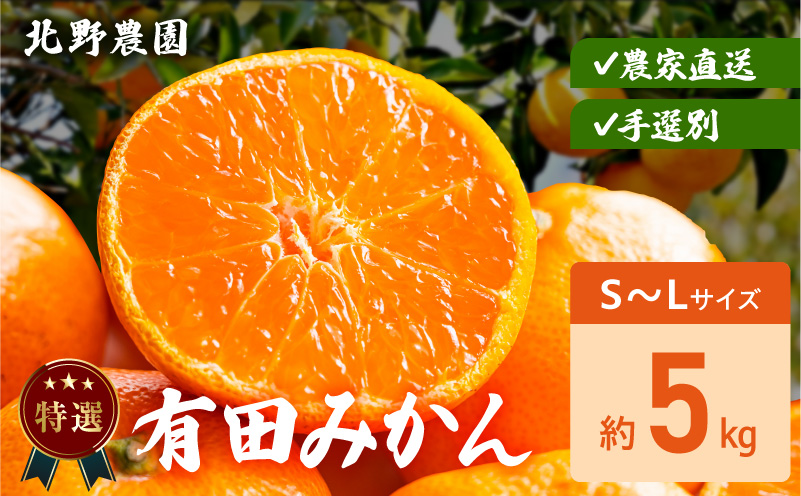 DZ6232_Y_【直営限定】特選 有田みかん 和歌山 S～Lサイズ 大きさお