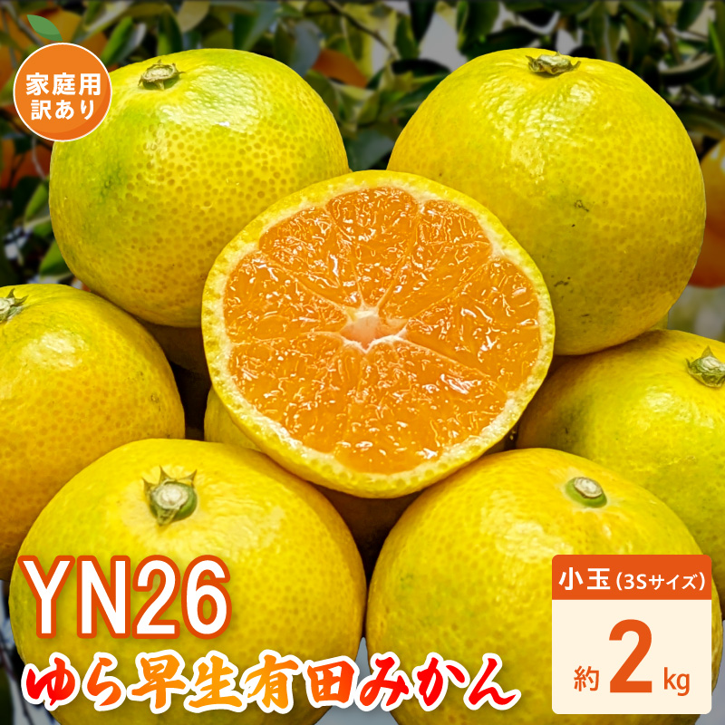 DZ6240_Y_【直営限定】【2026年先行予約】家庭用 YN26 ゆら早生 有田