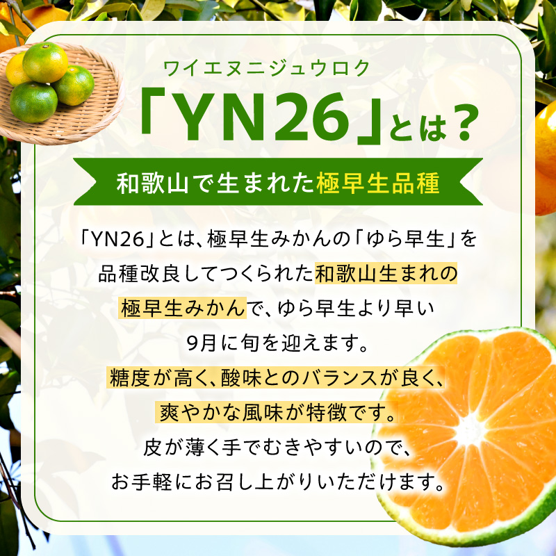 DZ6240_Y_【直営限定】【2026年先行予約】家庭用 YN26 ゆら早生 有田