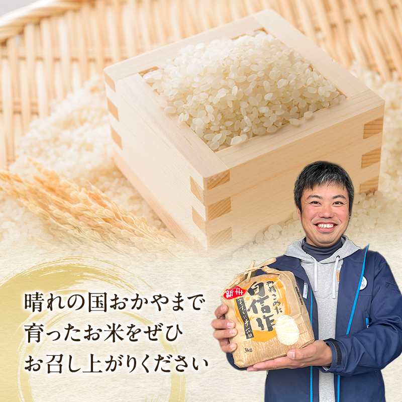 令和7年産 お米 3kg×1袋 きぬむすめ 特A 精米 白米 ライス 単一原料米 検査米 岡山県 ご飯 主食