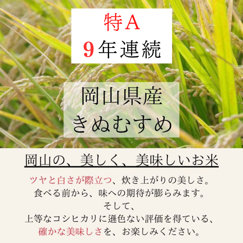 令和7年産 お米 3kg×1袋 きぬむすめ 特A 精米 白米 ライス 単一原料米 検査米 岡山県 ご飯 主食