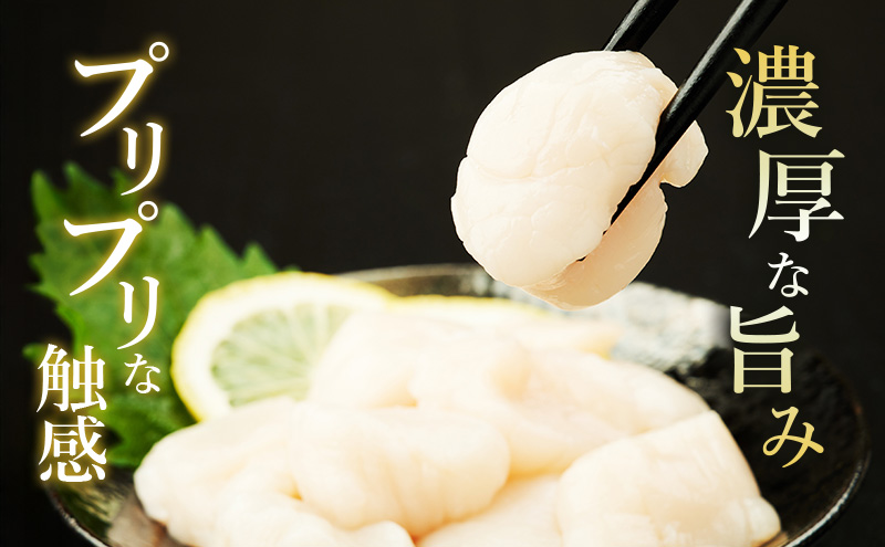 先行予約 欠けがあるため訳あり 北海道 オホーツク海産 ホタテ 貝柱 Bフレーク 1kg 帆立 ほたて 刺身 玉冷 海鮮 魚介 冷凍 国産 サロマ湖 魚介類