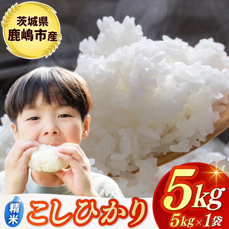 y錧szߘa7NYā  RVqJ  5kg sYyЂ  R ͂ CX uh 錧 s 15000~ȓz(KBR-20)