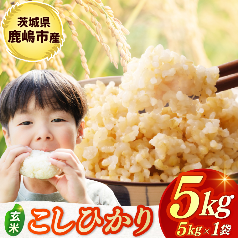 ★令和7年産米★ お米 コシヒカリ 玄米 5kg 鹿嶋市産【こしひかり 米 コメ ごはん ライス ブランド米 茨城県 鹿嶋市 15000円以内】(KBR-21)