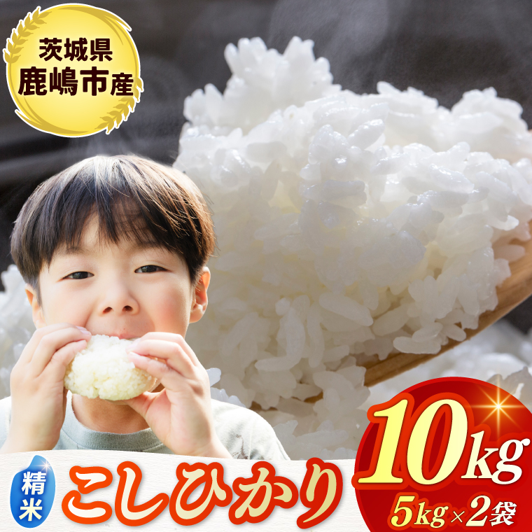 y錧szߘa7NYā  RVqJ  10kg (5kg×2) sYyЂ  R ͂ CX uh 錧 s 30000~ȓz(KBR-22)