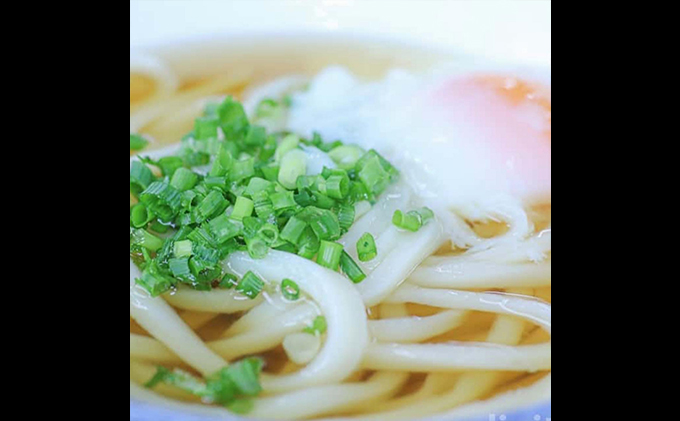 人気店の【お試し讃岐うどん】半生麺2～3人前×2袋（ダシ付） 麺類 手打ちうどん 手打ち讃岐うどん グルメ