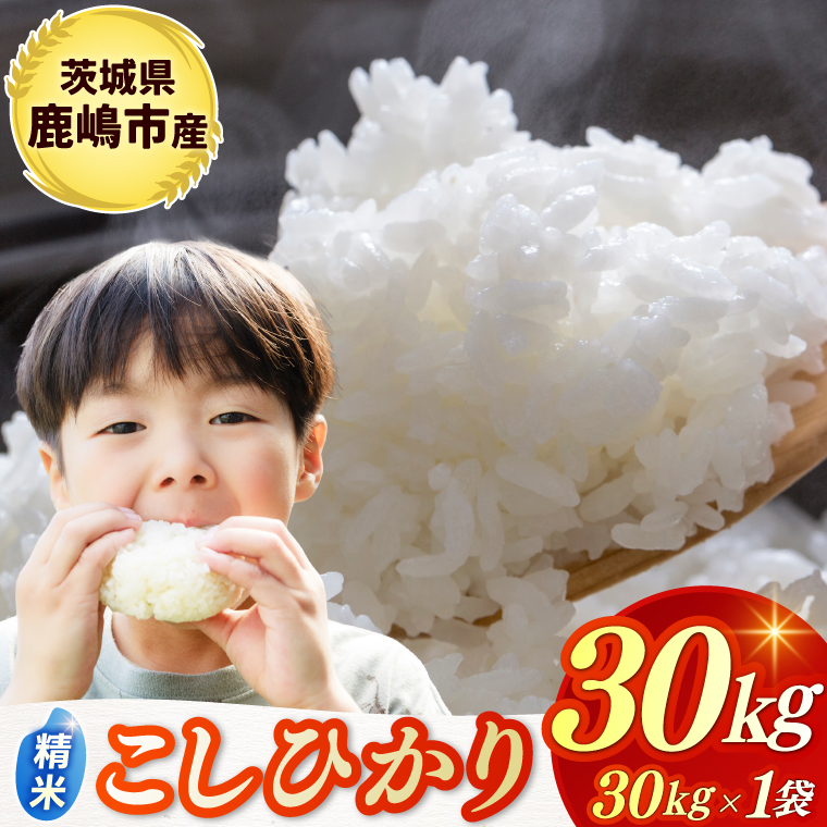 y錧szߘa7NYā  RVqJ  30kg sYyЂ  R ͂ CX uh 錧 s 80000~ȓz(KBR-24)