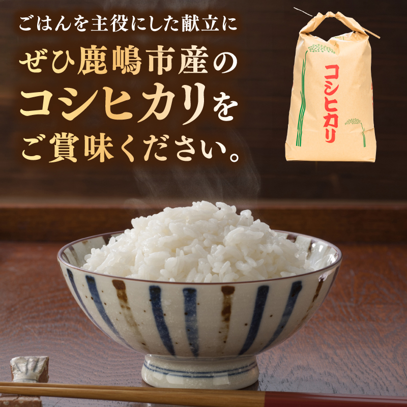 ★令和7年産米★ お米 コシヒカリ 精米 30kg 鹿嶋市産【こしひかり 米 コメ ごはん ライス ブランド米 茨城県 鹿嶋市 80000円以内】(KBR-24)