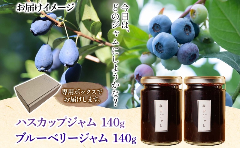 【ふるさと納税】ジャム2種セットA 各1個 ハスカップ ジャム ブルーベリージャム  今日ジャム 北海道産 自家製 パン ヨーグルト 朝食 濃厚 甘い デザート スイーツ おやつ グルメ ご褒美 贅沢 ギフト 送料無料 北海道 滝川市