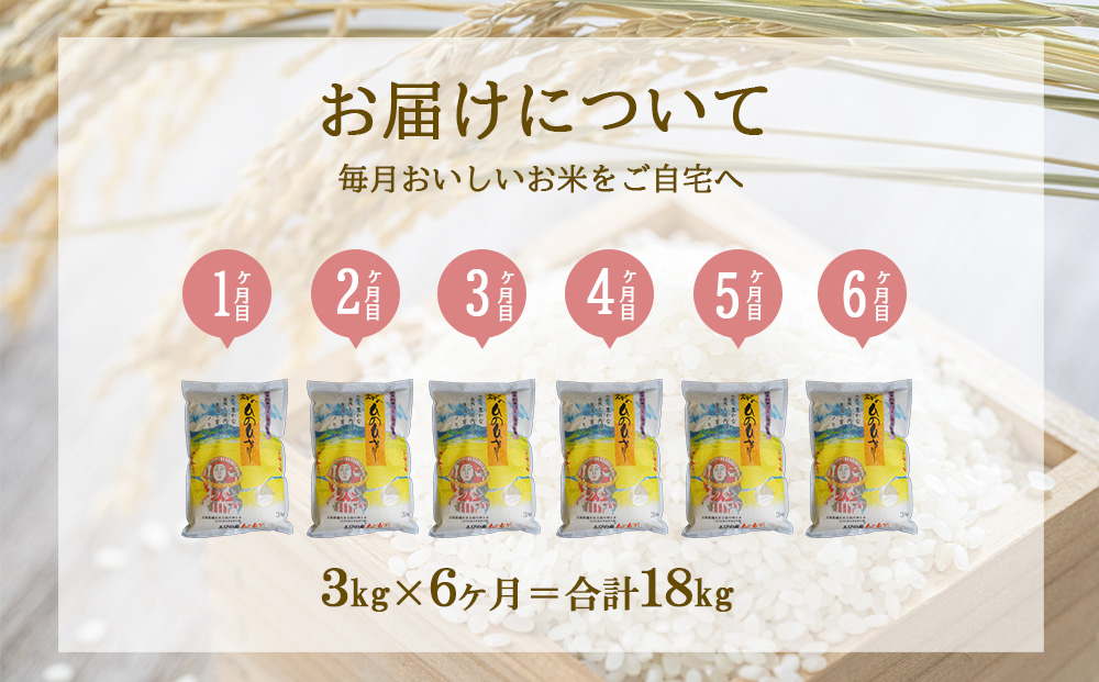 【半年定期便】えびの産 ひのひかり 3kg×6ヶ月 合計18kg 定期便 米 お米 白米 ヒノヒカリ おにぎり お弁当 九州 宮崎県 特選米 冷めても美味しい 送料無料